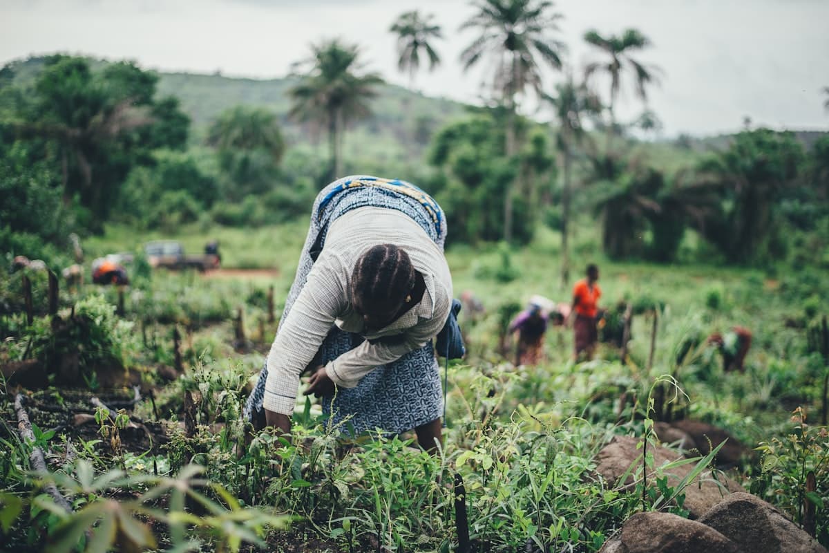 Climate Agriculture & Sustainability